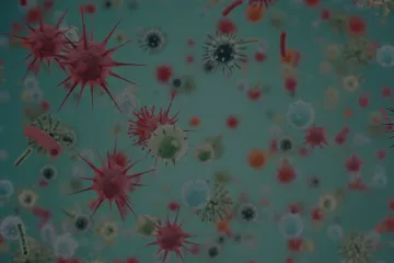 微生物组与人体健康