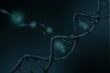 cfDNA与肿瘤诊断