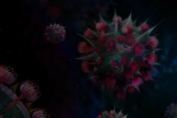 病毒与疾病关系的研究：九大专题