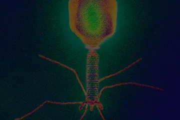 利用Meta Hi-C辅助噬菌体或者病毒的全基因组组装