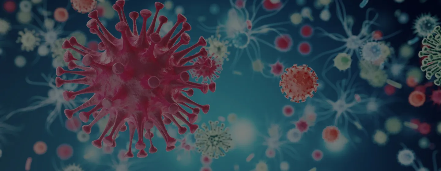 Easier Virome Research<br />专业病毒组研究合作伙伴