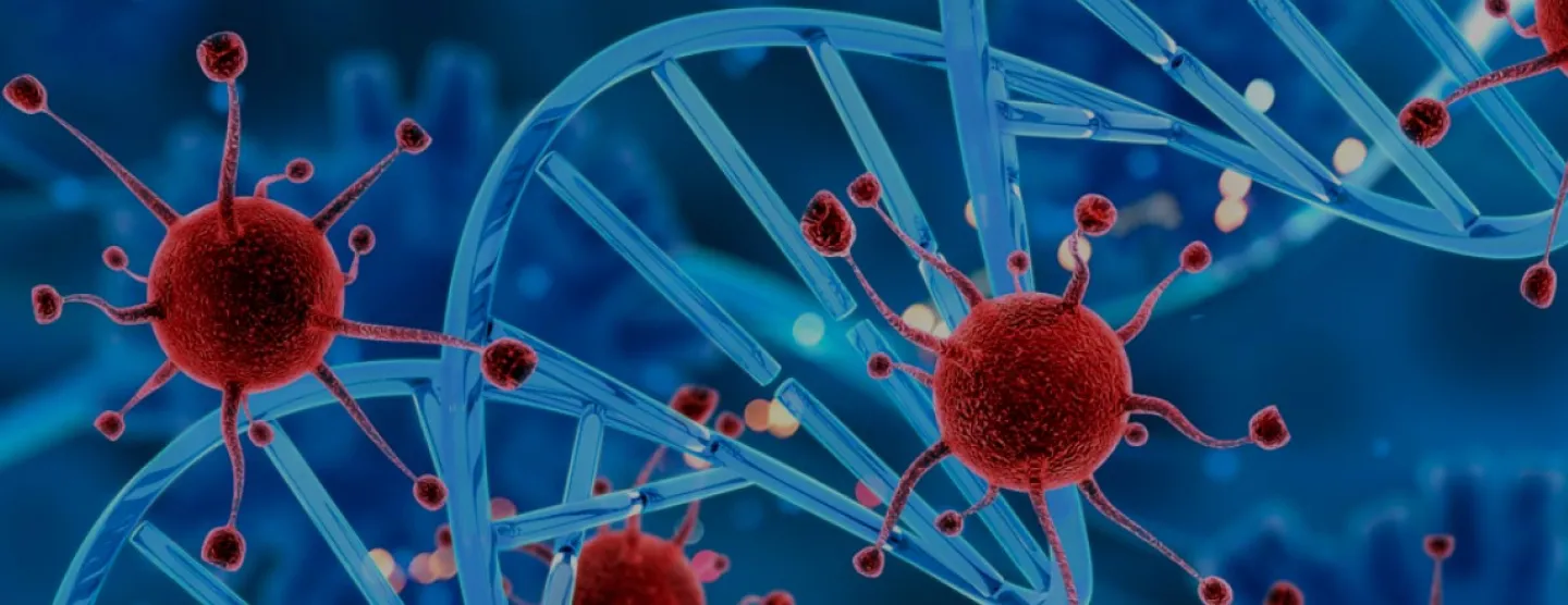 专业的病毒组分析