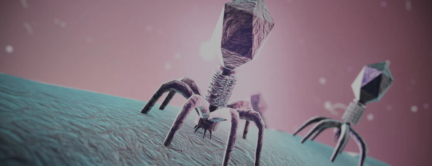 专业的噬菌体鉴定