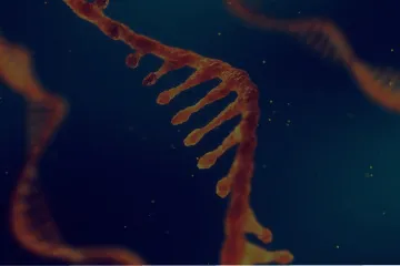 单链核酸建库技术